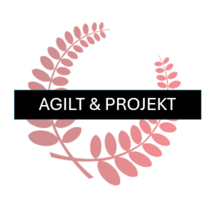 Att kombinera Agilt och Projekt