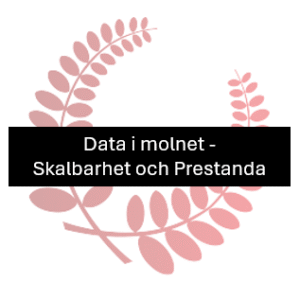Data i molnet – Skalbarhet och prestanda
