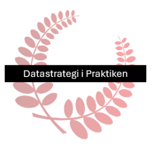 Datastrategi i Praktiken