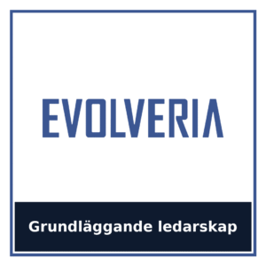 Grundläggande ledarskap