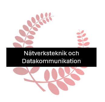 Nätverksteknik och Datakommunikation