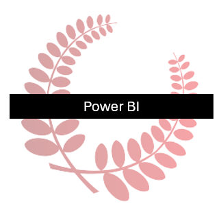 Power BI Grundkurs