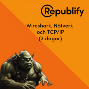 Wireshark, Nätverk och TCP/IP