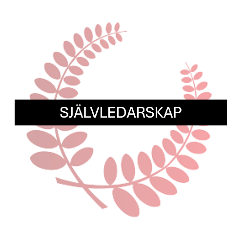 Självledarskap - Ta fram det bästa i dig själv och andra