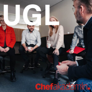 UGL – Utveckling av grupp och ledare